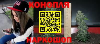 спиды Новозыбков