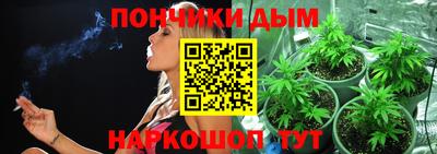 спиды Новозыбков