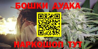 спиды Новозыбков