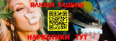спиды Новозыбков