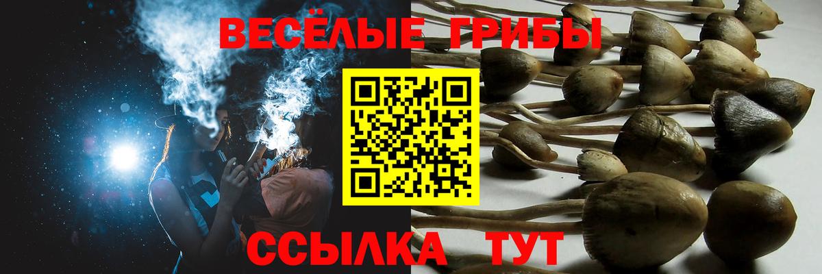 Галлюциногенные грибы Cubensis  Вход с VPN  Нарткала  Галлюциногенные грибы Magic Shrooms 